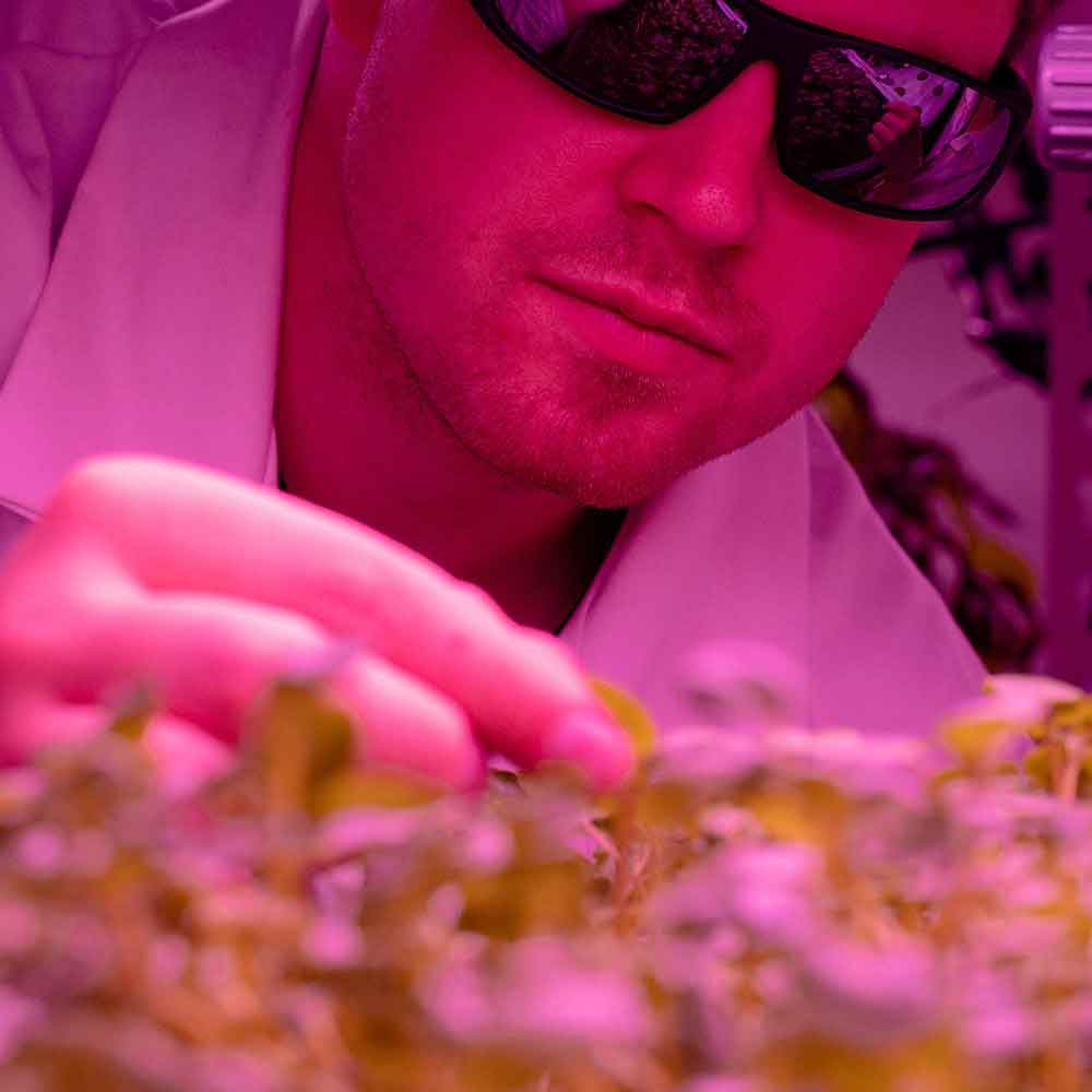 Enlace a Grado en Ciencia y Tecnología de los Alimentos